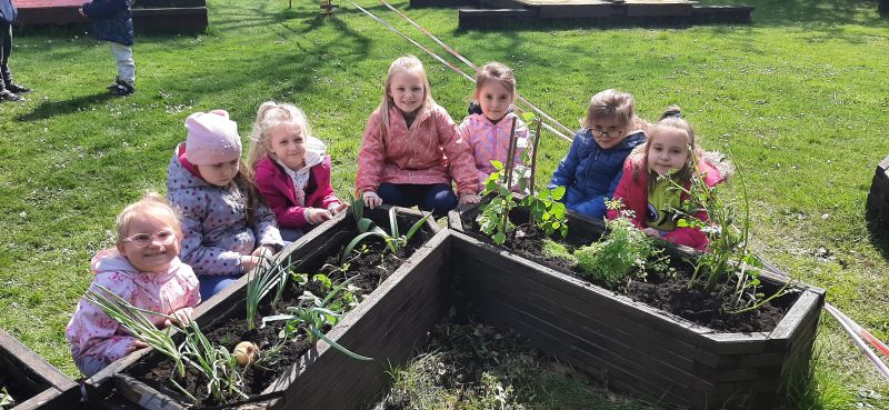 Wiosenne prace w ogródku przedszkolnym