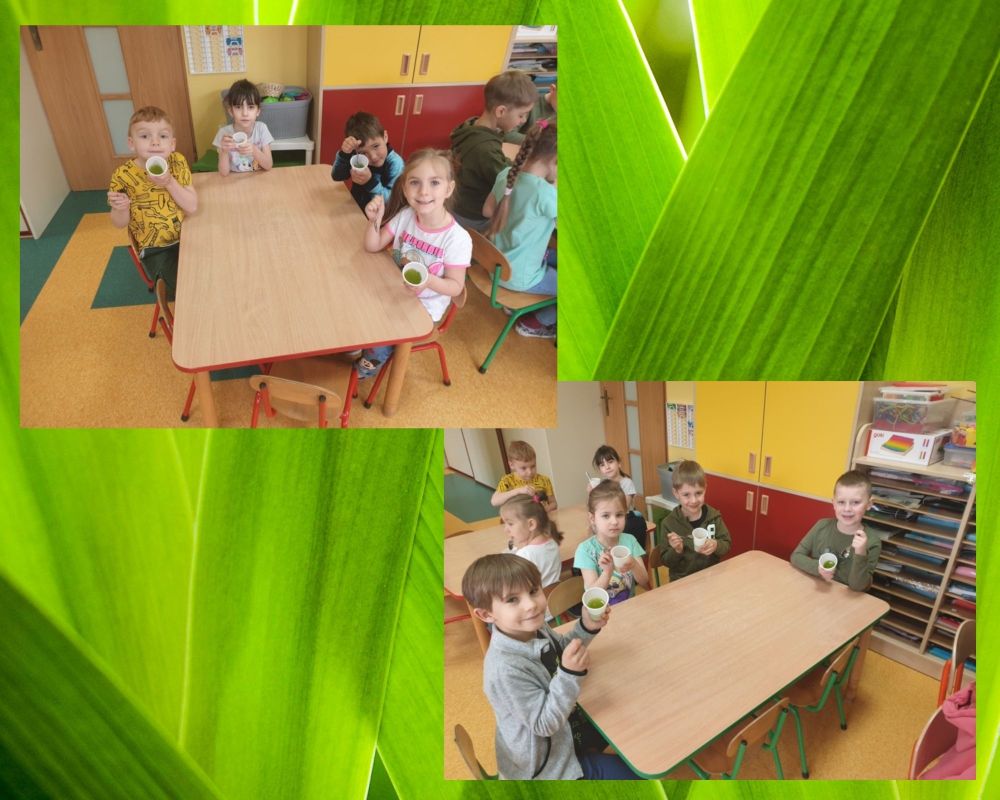 Kolorowe Dni w Przedszkolu - Dzień Zielony